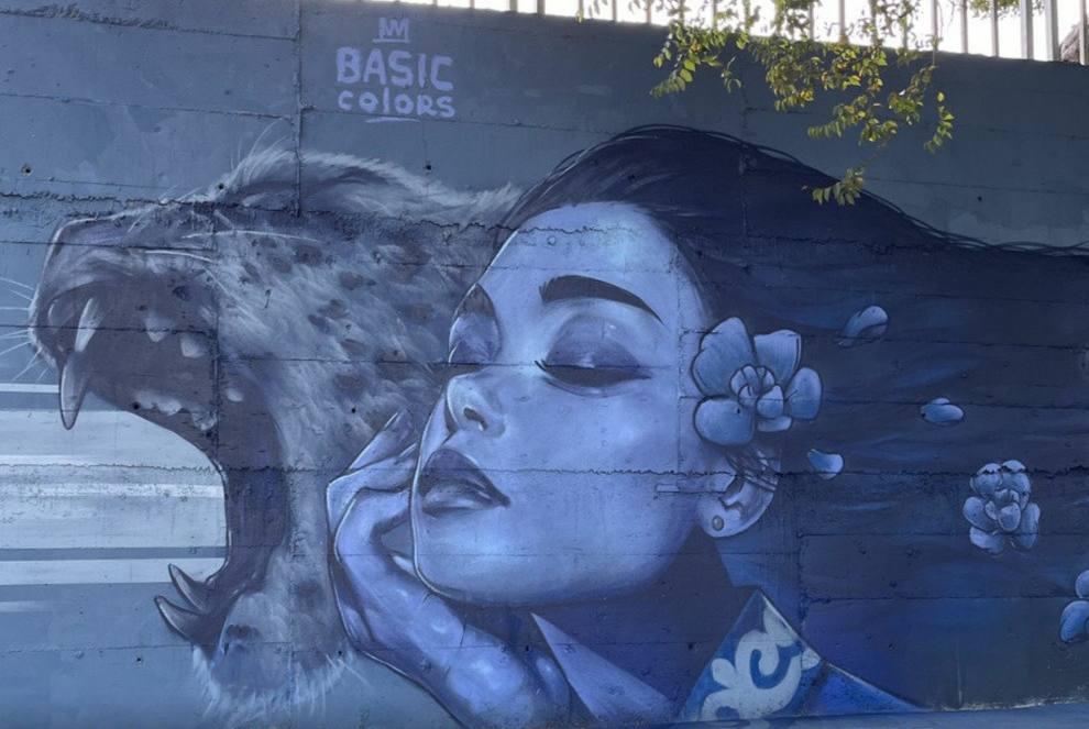 В Бишкеке появился новый мурал "Сила Барса"&nbsp;