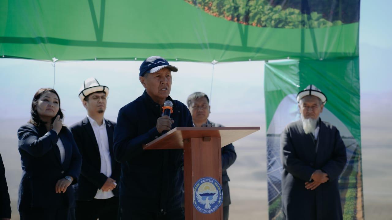 Күн панелдери астына клубника да өстүрөбүз. Баткенде уникалдуу "Агровольтайка" долбооруна старт берилди. 
&nbsp;